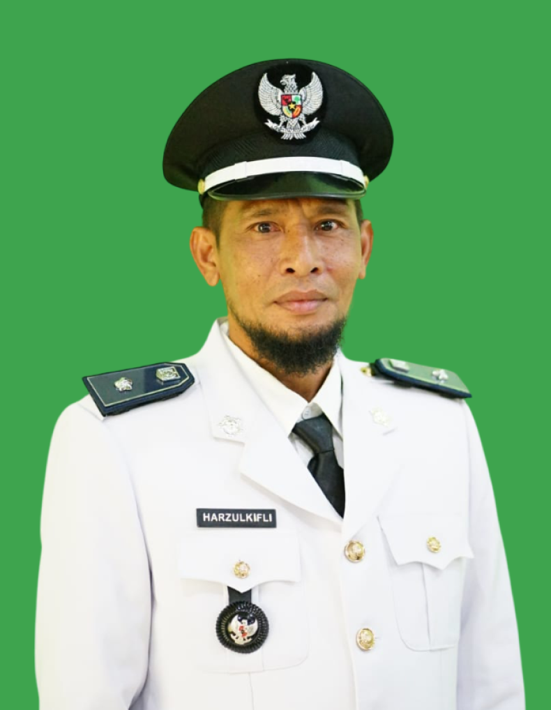 Pj. Kepala Desa pematang obo